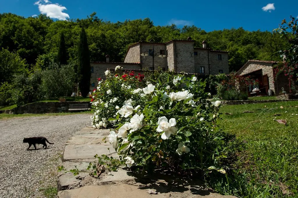 Agriturismo Azienda Agricola Il Pozzo contacts