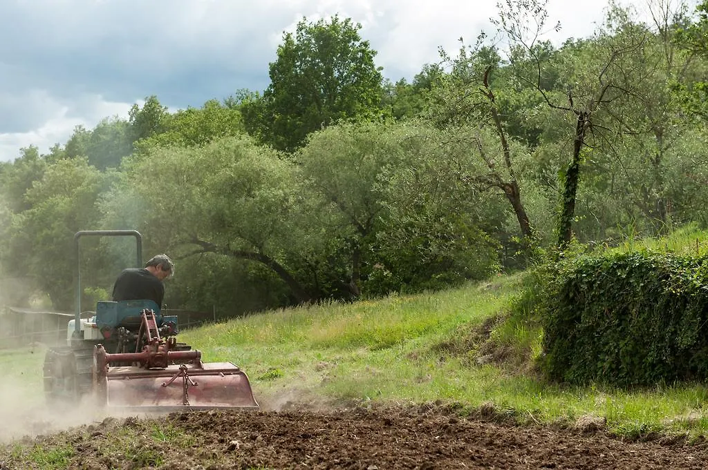 Agriturismo Azienda Agricola Il Pozzo Capolona 0*,  Italy